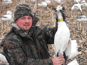 This is our only neck collar during the 2013 Spring Snow Goose Season. Since they have stopped collaring snows several years back they have become increasingly rare.
