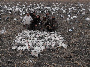 This hunt was also featured in Snow Flurries 2. It is a guides hunt and we are joined by my partner in Deadly Decoys, Inc. Damian Kuzmin. It was a big day...147 snow geese.