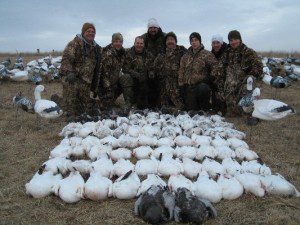 If you have seen our Snow Flurries 2 DVD this is the group on the day they rained 28 birds from one flock. Here they are pictured at the end of the day with the 81 birds they harvested.
