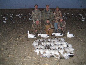 Snow goose season in Missouri