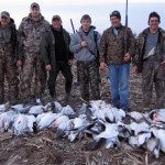 Games straps loaded with snow geese.