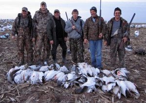 Games straps loaded with snow geese.