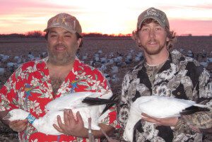 These guys hunted Missouri for a couple days then we moved them to South Dakota. The temperatures were in the 70's and 80's in late March which is about 30-40 degrees warmer than normal. These hunters took light of the situation with their Hawaiian shirts. It must have worked as they got two banded birds. A leg band and a neck collar, both on Ross geese.