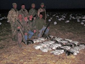 Spring Snow goose season 2012