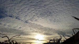 20150130_163923