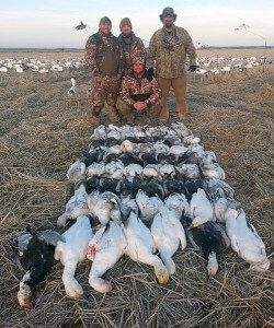 Arkansas 2015 Snow Goose Hunt 2