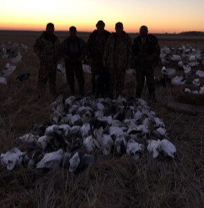 Arkansas 2015 Snow Goose Hunt