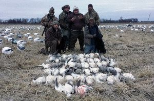 Arkansas 2015 Snow Goose Hunt 5