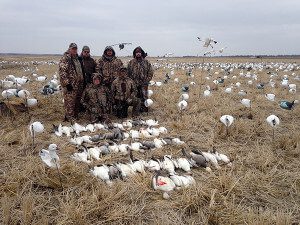 Arkansas 2015 Snow Goose Hunt 8