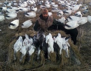 Arkansas Snow Goose Guide