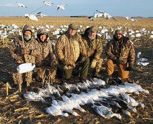 Average Nebraska Snow Goose Hunt