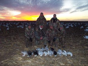 Average snow goose hunt