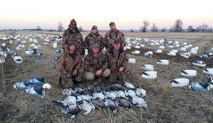 Average snow goose hunt