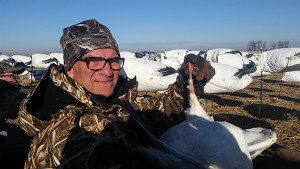 Banded Snow Goose in Arkansas