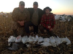 Blue Goose with Black eye