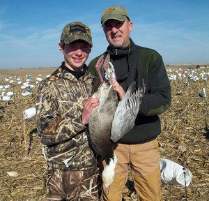 Father_Son_Banded Snow goose