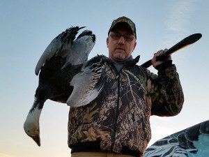 Its a blue goose