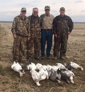 JG_SIM Arkansas 2015 Snow Goose Hunt