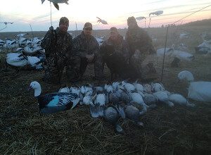 MO_NO Arkansas 2015 Snow Goose Hunt