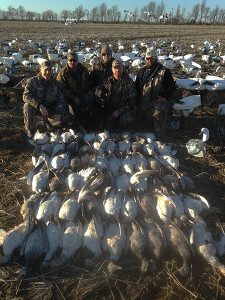 MO_NOKES Arkansas 2015 Snow Goose Hunt