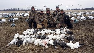 MO_ar Arkansas 2015 Snow Goose Hunt