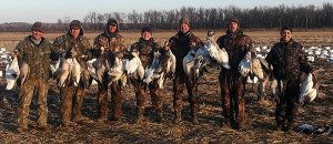 Mock Arkansas 2015 Snow Goose Hunt