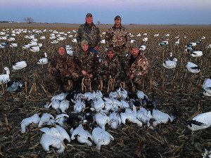 Nebraska Snow Goose Hunt
