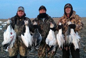 PARTY OF 3 snow goose hunters