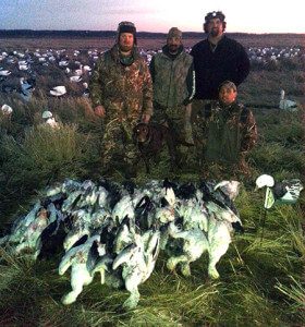 Rice Field Snow Goose Guide