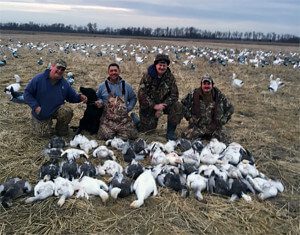 Rice Field Snow Goose Hunt
