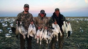 Snow Goose Hunters