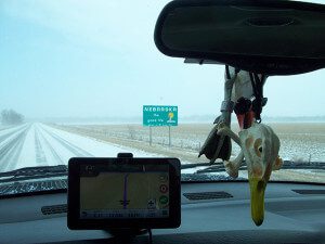 Welcome to Nebraska Snow Goose Hunting
