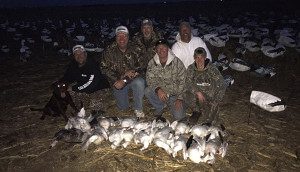 dusk and snows geese