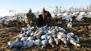 huntupnorth.com arkansas snow goose hunts