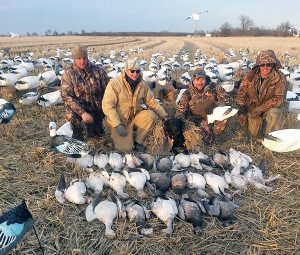 snow goose hunting Arkansas