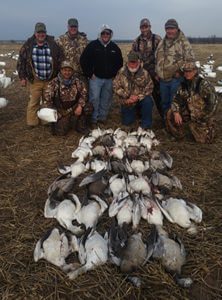 Spring 2016 - 1