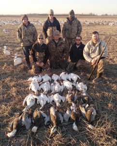 Spring 2016 - 15