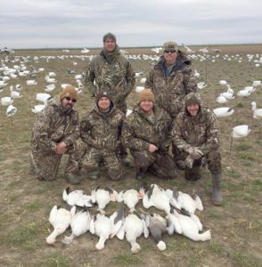 Spring 2016 - 2