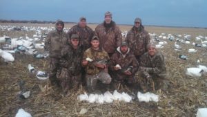 Spring 2016 - 31