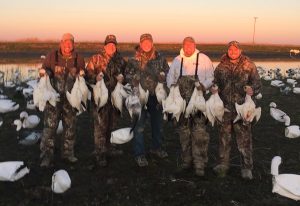 Spring Snow Goose Hunting Www.huntupnorth.com 168