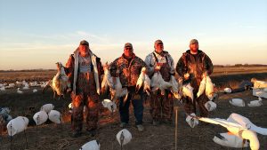 Spring Snow Goose Hunting Www.huntupnorth.com 174