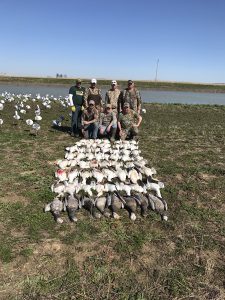 Spring Snow Goose Hunting Www.huntupnorth.com 182