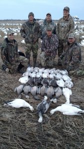 Spring Snow Goose Hunting Www.huntupnorth.com 188
