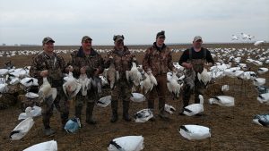 Spring Snow Goose Hunting Www.huntupnorth.com 190