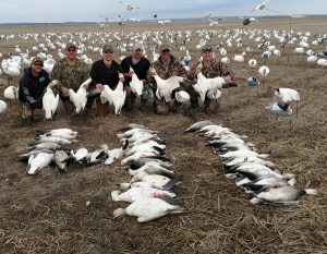 Spring Snow Goose Hunting Www.huntupnorth.com 191