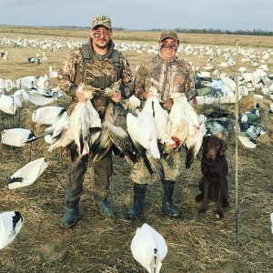 Spring Snow Goose Hunting Www.huntupnorth.com 192