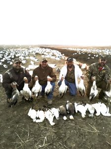 Spring Snow Goose Hunting Www.huntupnorth.com 196