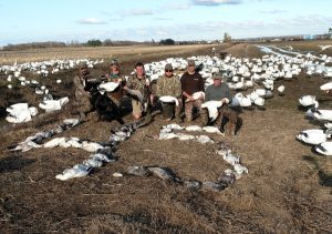 Spring Snow Goose Hunting Www.huntupnorth.com 201