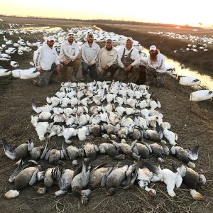 Spring Snow Goose Hunting Www.huntupnorth.com 205