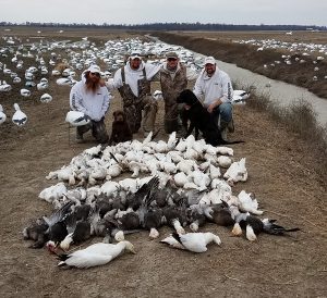 Spring Snow Goose Hunting Www.huntupnorth.com 208
